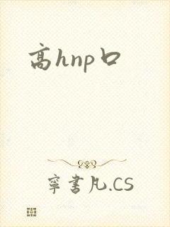 高hnp口