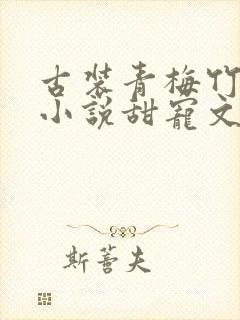 古装青梅竹马的小说甜宠文