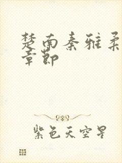 楚南秦雅柔最新章节