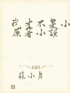 我才不是小可怜原著小说