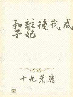 和离后我成了太子妃