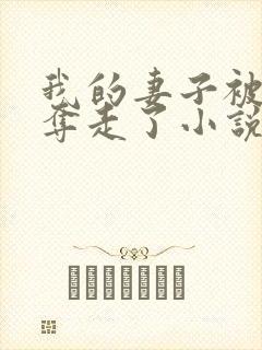 我的妻子被少年夺走了小说