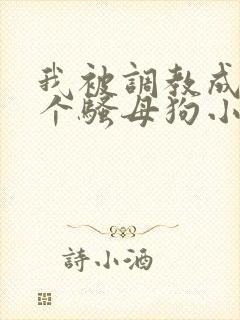我被调教成了一个骚母狗小说