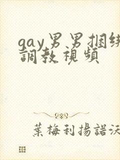 gay男男捆绑调教视频