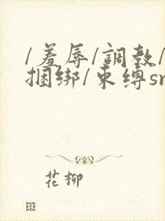 /羞辱/调教/捆绑/束缚sm的小说