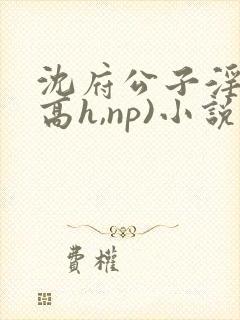 沈府公子淫史(高h,np)小说