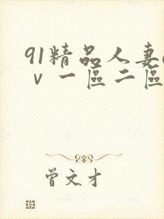 91精品人妻aⅴ一区二区封面