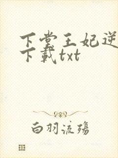 下堂王妃逆袭记下载txt封面