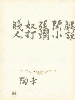 贱奴张开腿给主人打烂小说封面