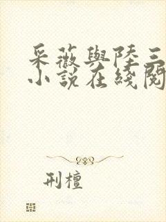 采薇与陆三平的小说在线阅读