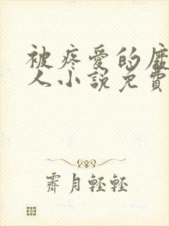 被疼爱的废物美人小说免费阅读封面