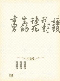 重生后我嫁给渣男的死对头短剧封面