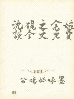 沈砚之余婉秋小说全文免费阅读笔趣阁