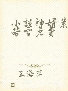 小说神婿叶凡唐若雪免费