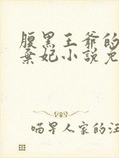 腹黑王爷的绝色弃妃小说免费阅读