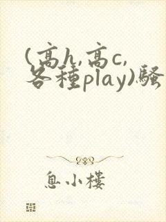 (高h,高c,各种play)骚话男男小说