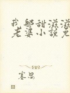 我那甜滋滋又多老婆小说免费阅读封面