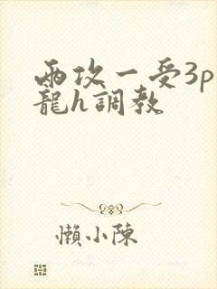 两攻一受3p双龙h调教封面
