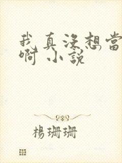 我真没想当皇帝啊 小说