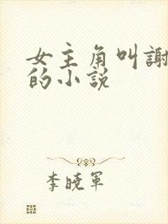 女主角叫谢琳琅的小说