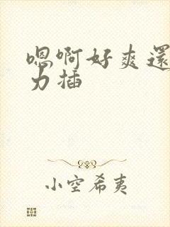 嗯啊好爽还要用力插封面