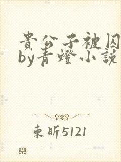 贵公子被囚为奴by青灯小说免费阅读