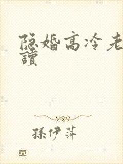 隐婚高冷老公阅读