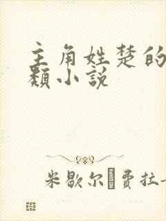 主角姓楚的都市类小说