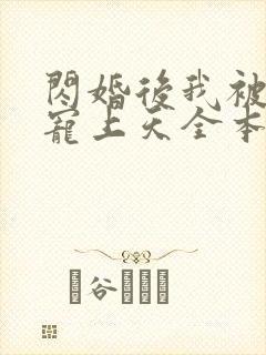 闪婚后我被大佬宠上天全本小说