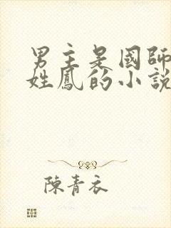 男主是国师女主姓凤的小说