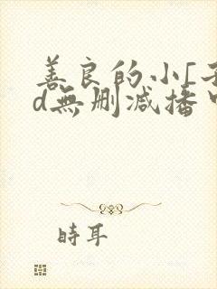 善良的小[子hd无删减播中文封面