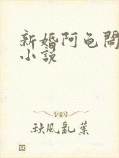 新婚阿龟闹新娘小说封面