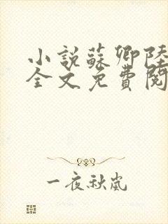 小说苏卿陆容渊全文免费阅读封面