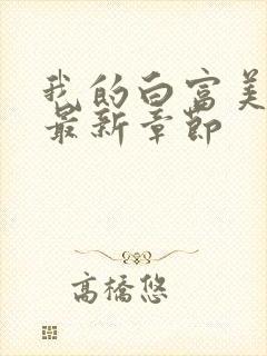 我的白富美老婆最新章节封面