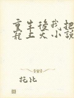 重生后我把丈夫宠上天小说