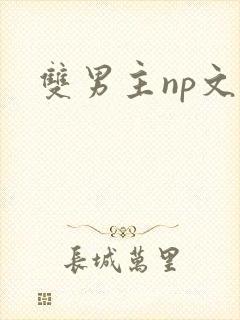 双男主np文封面