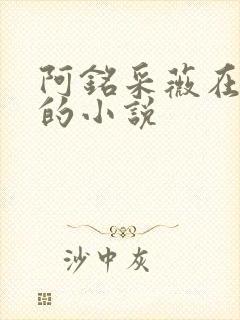 阿铭采薇在人间的小说