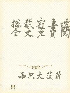 总裁宠妻坏透了全文免费阅读封面