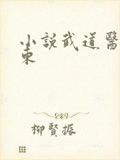 小说武道医王吴东封面