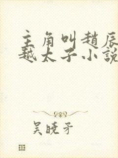 主角叫赵辰的穿越太子小说