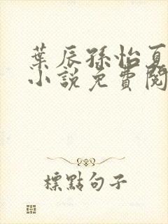 叶辰孙怡夏若雪小说免费阅读最新章