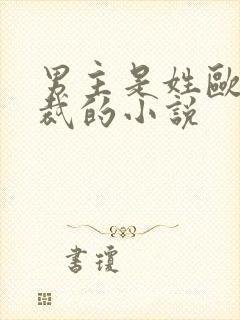 男主是姓欧的总裁的小说封面