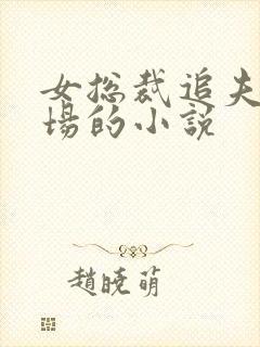 女总裁追夫火葬场的小说封面