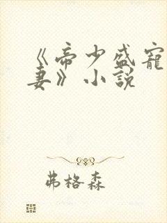 《帝少盛宠呆萌妻》小说