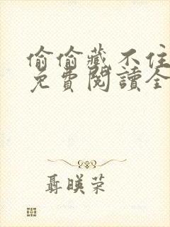 偷偷藏不住小说免费阅读全文无删减