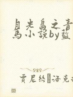 月光岛之青梅竹马小说by蓝扬