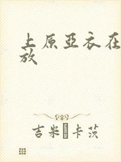 上原亚衣在线播放