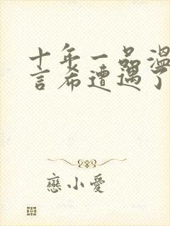 十年一品温如言言希遭遇了什么