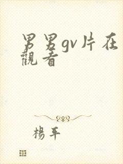 男男gv片在线观看