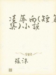 凌辱向(短篇合集)小说